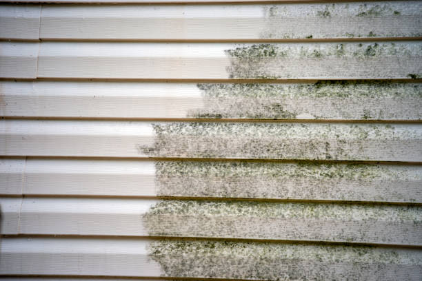 Best Dumpster Rental Services  in Richton, MS