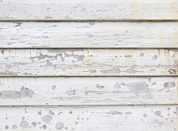 Best Construction Debris Removal  in Richton, MS